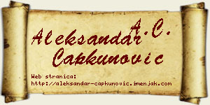 Aleksandar Čapkunović vizit kartica